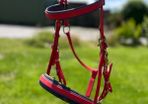 Assorted Horse equipment