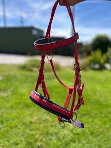Assorted Horse equipment