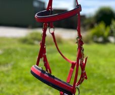 Assorted Horse equipment