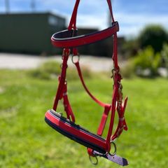 Assorted Horse equipment