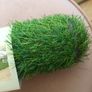 Decorative  indoor/garden table runner Image 3