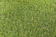 Free Delivery 40mm Artificial Grass