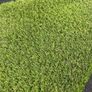 New 40mm artificial Grass Image 2