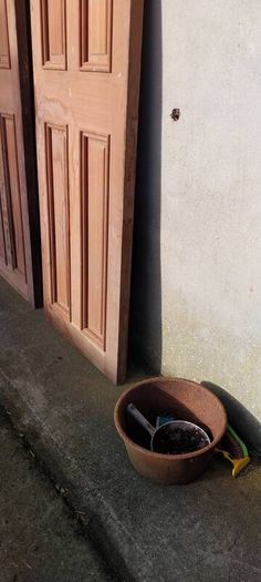 Pair of Mahogany  Doors