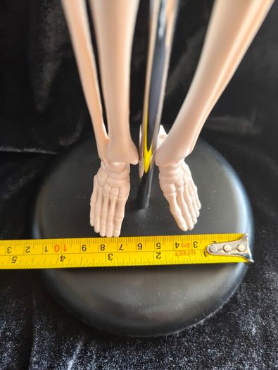 mini human anatomical skeleton model