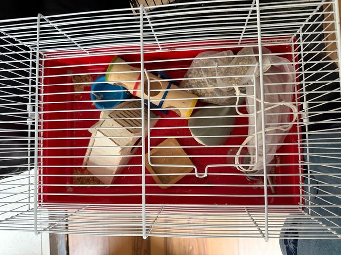 Hamster cage