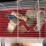 Hamster cage Image 2
