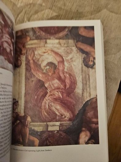 Michelangelo By Linda Murray. With 161 Illusions 20 In Colour. Paperback In Good Condition.  See Photos For Same.