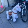 girls ride along pony Image 6