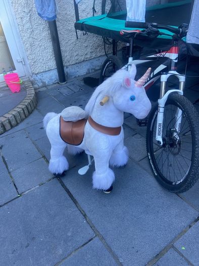 girls ride along pony