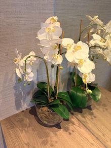 Timeless Elegance, Zero Effort: The Faux White Orchid Arrangement