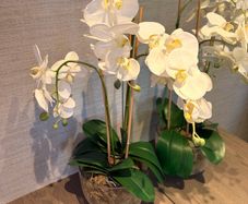 Timeless Elegance, Zero Effort: The Faux White Orchid Arrangement