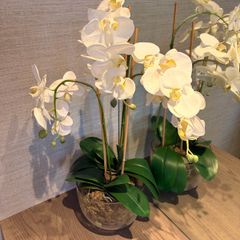 Timeless Elegance, Zero Effort: The Faux White Orchid Arrangement
