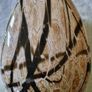 Giant Murano Vase in African patina Image 6