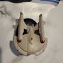 eaglemoss star trek united earth star fleet intrepid Image 3