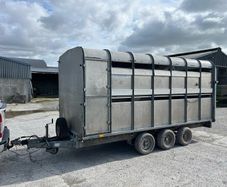 14 foot ifor Williams