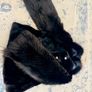 Mink winter coat Image 9