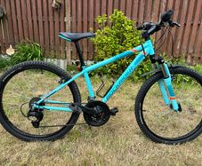 RockRider ST500 Bike