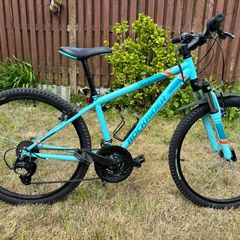 RockRider ST500 Bike