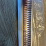 Vintage expendable Watch Band Image 4