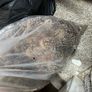 Bag of acorns from Austria. Image 2