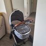Babylo Vogue pram / buggy Image 2
