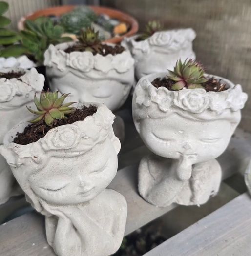 Handmade Cement Planters with Live Plants