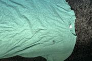 Springfield T Shirt