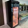 Dry Aging Seasoning Fridge C700 Upright Fridge Brand New Plug In Image 2