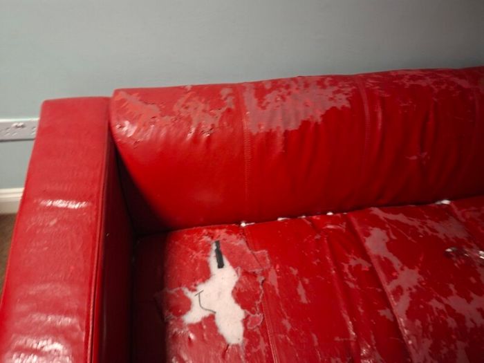 Red Leather Sofa