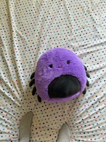 spider teddy