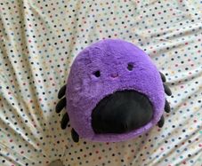 spider teddy