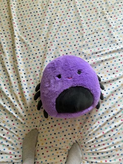 spider teddy
