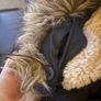 Boys parka jacket (shower proof) Image 3