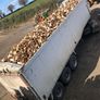 Firewood Image 3