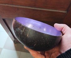 Handcrafted coconut bowl