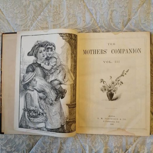 Antique Book: Mother's Companion from 1889