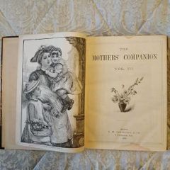 Antique Book: Mother's Companion from 1889