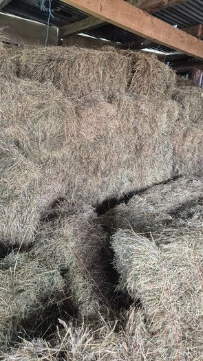 Small Square Hay Bales For Sale 3 euro each