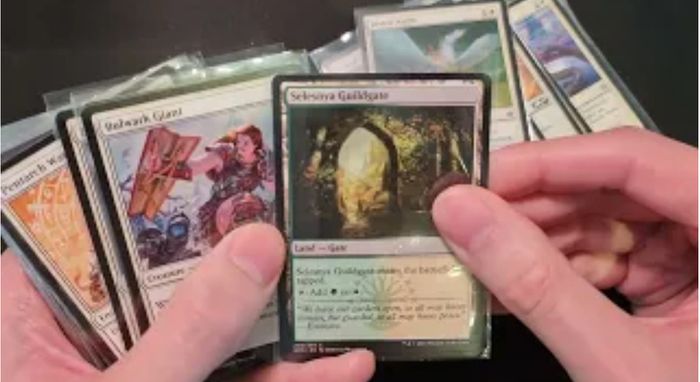 MTG Magic The Gathering White Deck