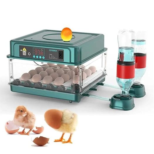 24 Egg Automatic Incubator with Auto Water Refill Digital Temperature Control & Humidity System