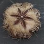 Vintage costume job lot of brooches Image 7