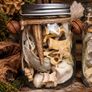 Oddities Bone Jars Curiosity Osteology Display Image 2