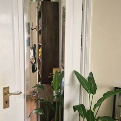 MIRROR - overdoor hanging full length