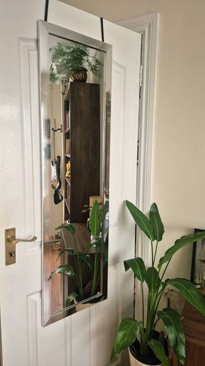 MIRROR - overdoor hanging full length