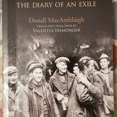 The Irish Navvy: The Diary Of An Exile by Donall MacAmhlaigh
