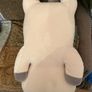 Super Soft Cat Teddy Image 4