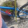 Boys bike Image 10
