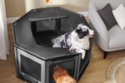 Puppy run  Oxford Fabric 112 x 112 x 62 cm large  with side pocket