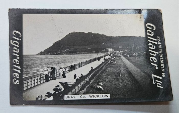 Vintage Gallaher Cigarette Cards Irish View Scenery - Dublin, Wicklow, Wexford and Waterford Views